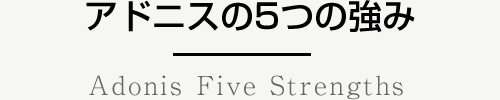 5つの強み